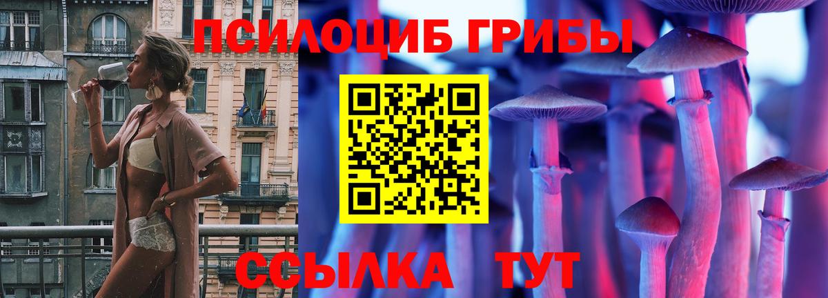 Псилоцибиновые грибы Psilocybe Изобильный